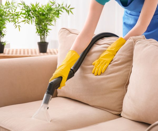 Woman cleaning couch with vacuum cleaner at home