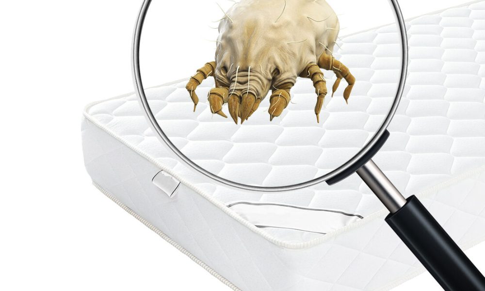 LunaraLife_Milbe_Composing-1-e1625241720715